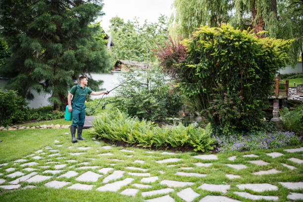 Pest Prevention Services in Barry, IL