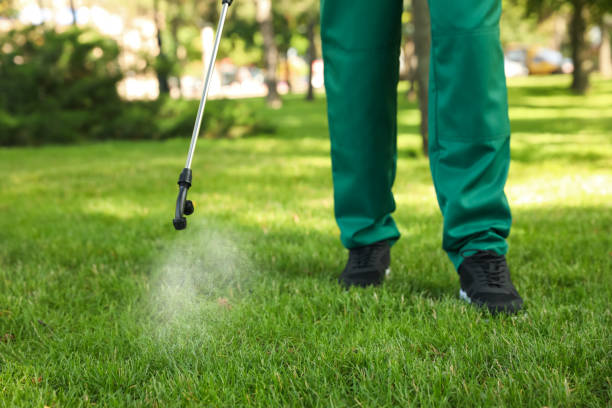 Best Residential Pest Control  in Barry, IL