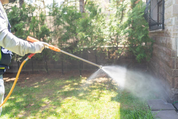 Best Pest Removal Services  in Barry, IL