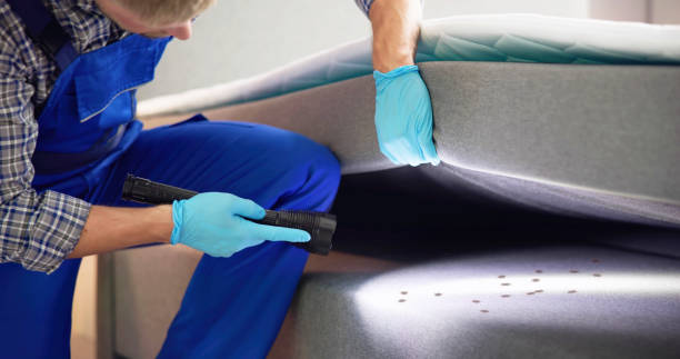 Trusted Barry, IL Pest Control Experts