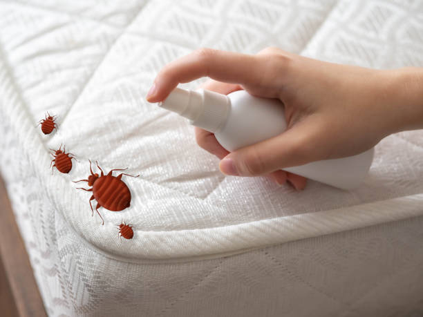 Best Bed Bug Extermination  in Barry, IL