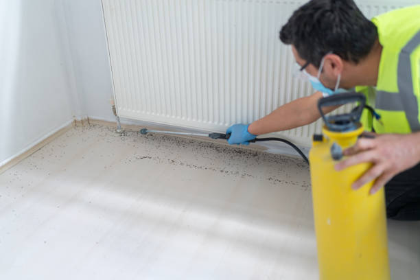 Best Flea Control Services  in Barry, IL