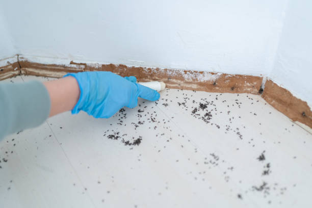 Best Pest Inspection Near Me  in Barry, IL