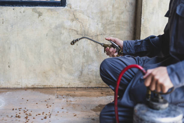 Best Pest Inspection Near Me  in Barry, IL