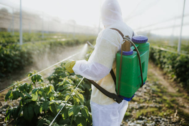Best Exterminator Services  in Barry, IL
